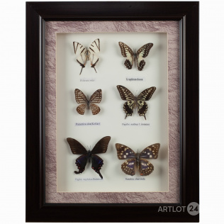Настенное панно «Коллекция лесных бабочек»