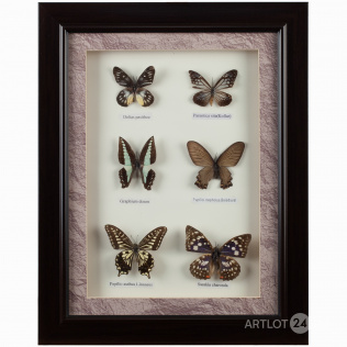Настенное декоративное панно «Коллекция бабочек»